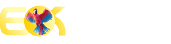 Giresunspor x fenerbahçe - 346bet
