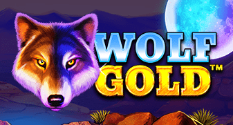 Slot for bingo paga mesmo